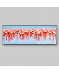 Flamencos,lago de Nakuru,Kenia