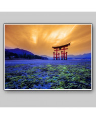 Tori Gate,Santuario Itsukushima,Hiroshima,Japón