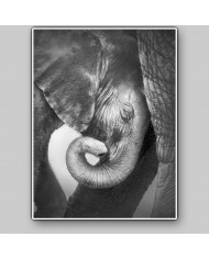 Bebé elefante consolándose con su madre, Parque Nacional Etosha, Namibia