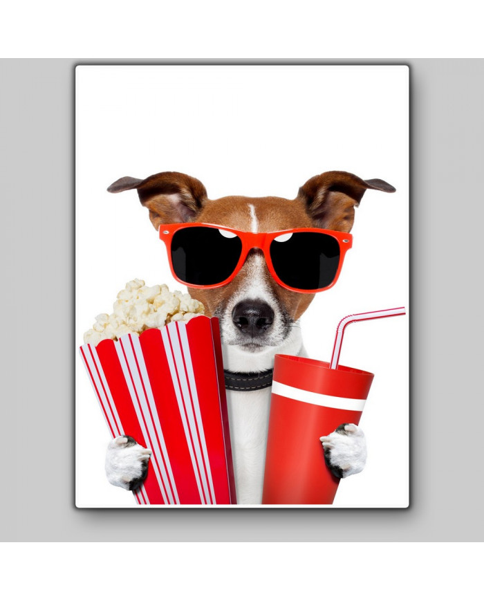 Perro afrancesado viendo una película