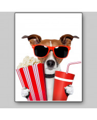 Perro afrancesado viendo una película