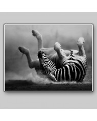 Cebra del Parque Nacional de Ngorongoro, Tanzania