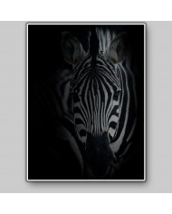 Retrato de una cebra  Parque Nacional Serengueti, Tanzania