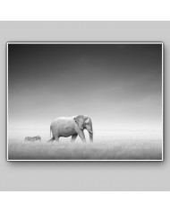 Elefante y cebra en el Parque Nacional de Etosha, Namibia