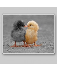 El beso de los pollitos