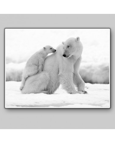Polar bear with its calf