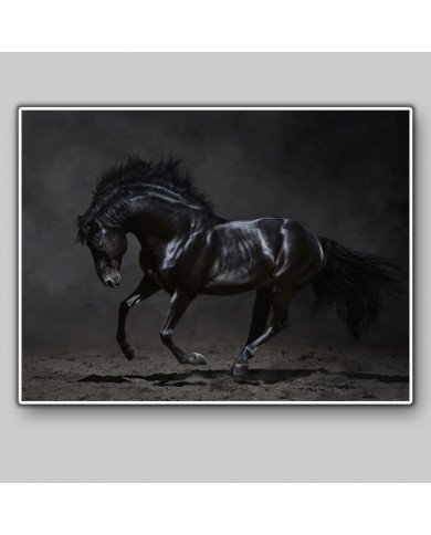 Caballo negro galopando Caballo negro galopando