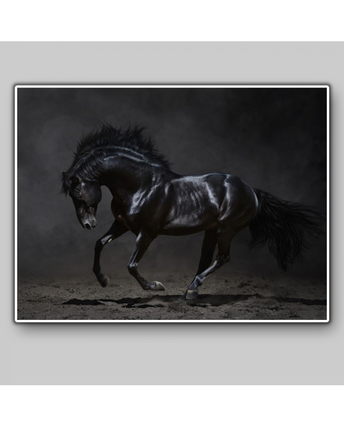 Caballo negro galopando