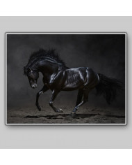 Caballo negro galopando