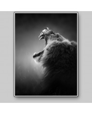 León, parque nacional Kruger, SudÁfrica