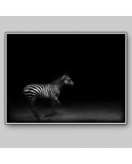 Cebra del Parque Nacional de Ngorongoro,Tanzania