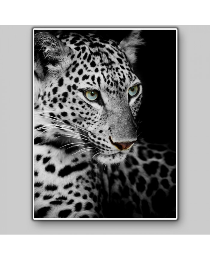 Retrato de un Leopardo