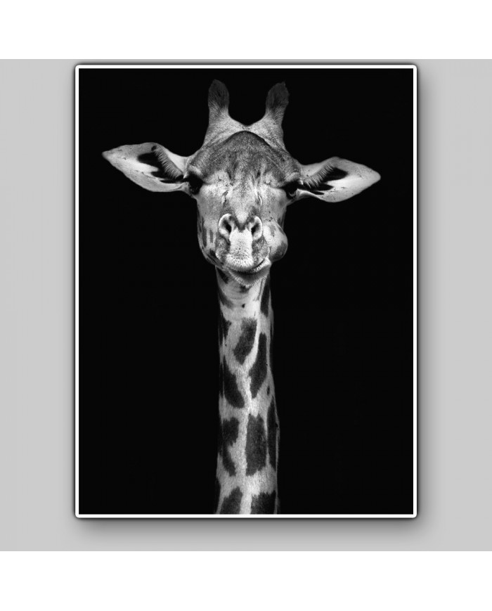 Retrato de una jirafa, Nairobi, Kenia