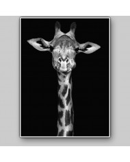 Retrato de una jirafa, Nairobi, Kenia