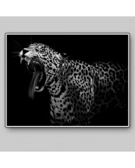 Retrato de un leopardo, Parque Nacional Serengueti, Tanzania