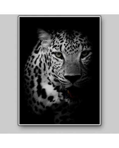 Retrato de un leopardo, Parque Nacional Kruger, SudÁfrica Retrato de un leopardo, Parque Nacional Kruger, SudÁfrica