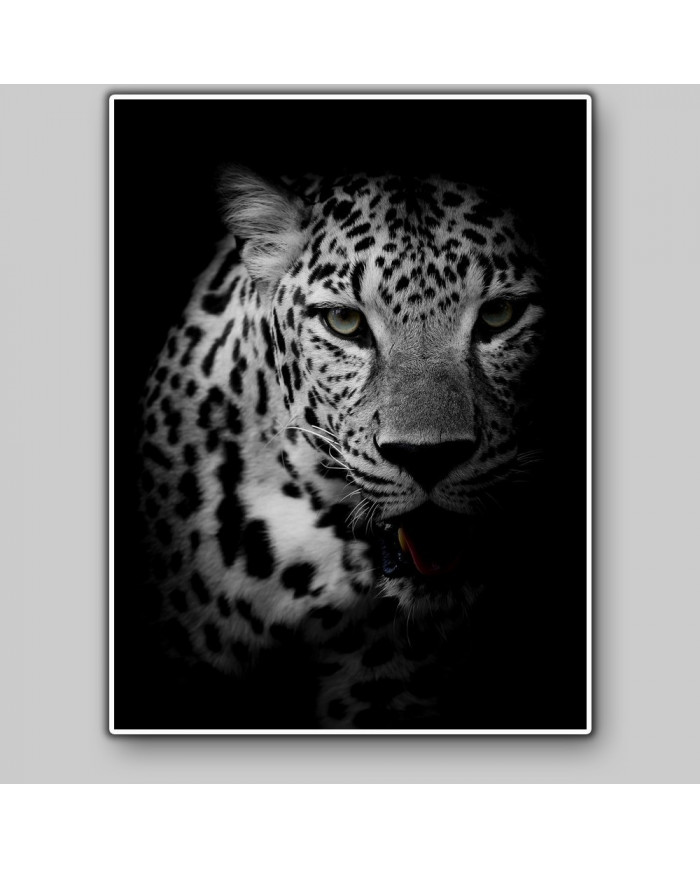 Retrato de un leopardo, Parque Nacional Kruger, SudÁfrica