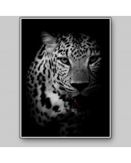 Retrato de un leopardo, Parque Nacional Kruger, SudÁfrica