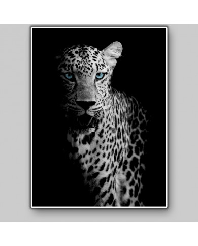 Portrait of a leopard, Chobe National Park, Botswana