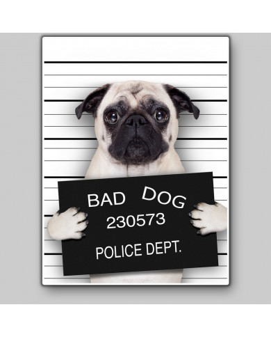 Pug fichado Pug fichado