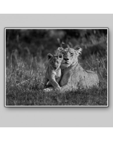 Lioness with her calf, Masai Mara National Park, Kenya