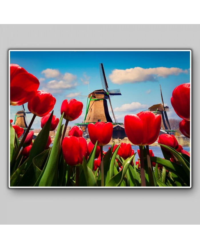 Molinos de viento,Holanda