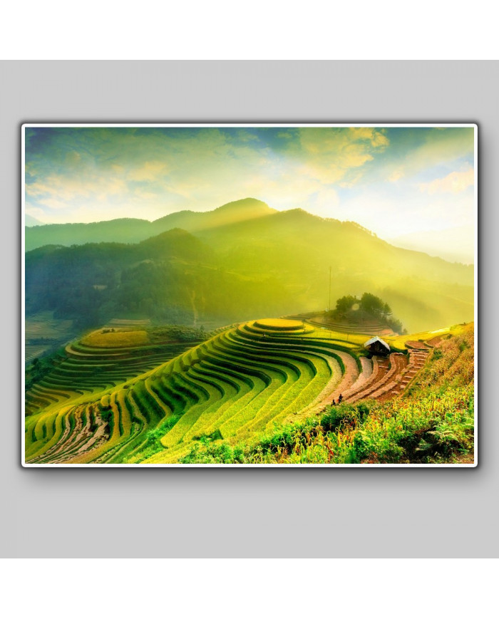 Campos de arroz en Mu Cang Chai, Vietnam