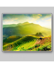 Campos de arroz en Mu Cang Chai, Vietnam