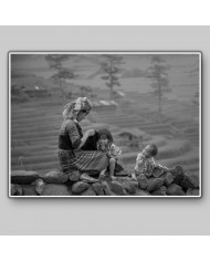 Trabajando en las terrazas de arroz, China