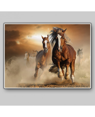 Caballos salvajes Caballos salvajes