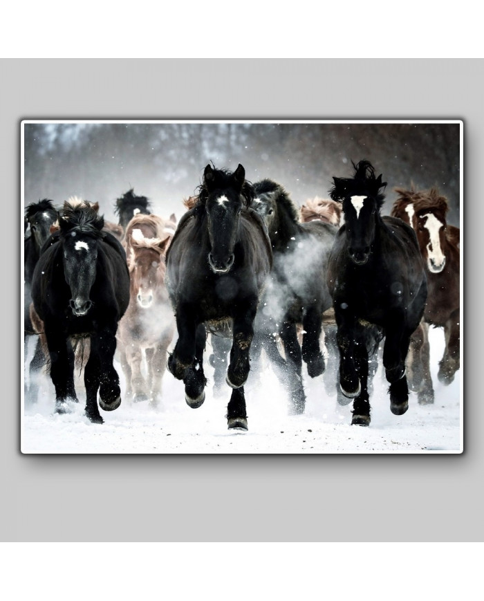 Caballos en invierno, Alaska