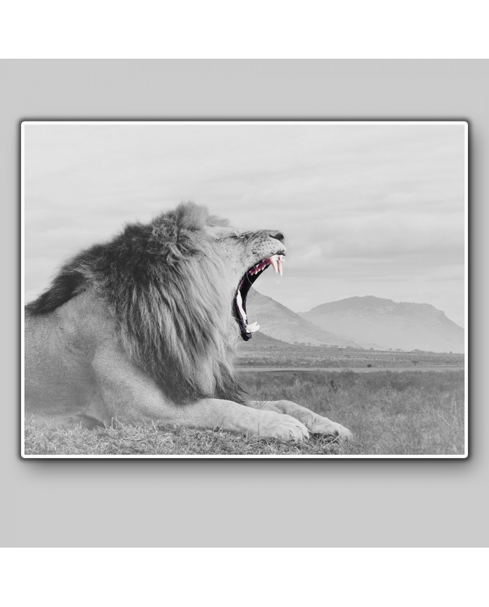 León, parque nacional Masai Mara, Kenia