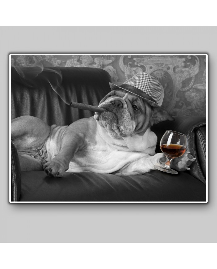 English Bulldog gangster