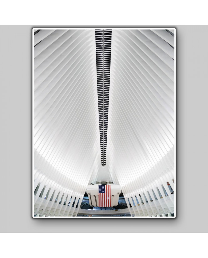 World Trade Center Transportation Oculus de Santiago Cal