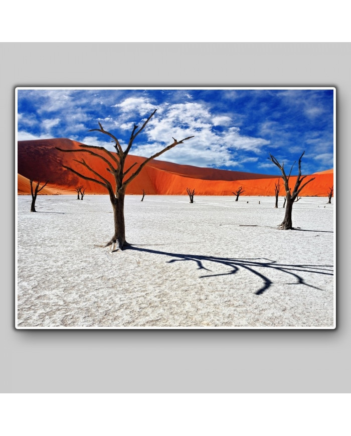 Dead Camelthorn Trees, Namib-Naukluft National Park, Namibia, Africa