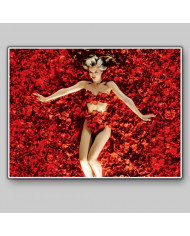 American Beauty
