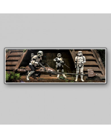 Endor Stormtroopers, Star Wars Endor Stormtroopers, Star Wars