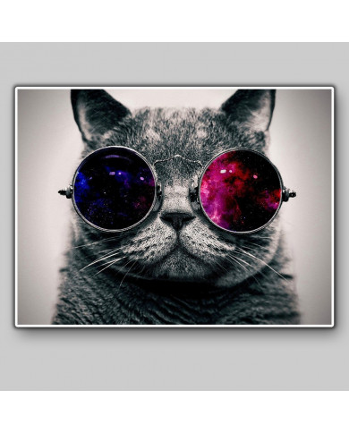 Cat with 3D glasses