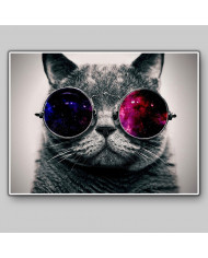 Gato con gafas 3D