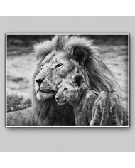 León con su cría, Parque Nacional Masai Mara, Tanzania