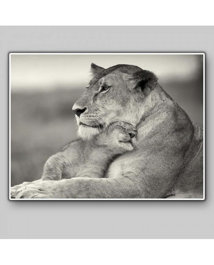 Leona con su cría, Parque Nacional Masai Mara, Tanzania