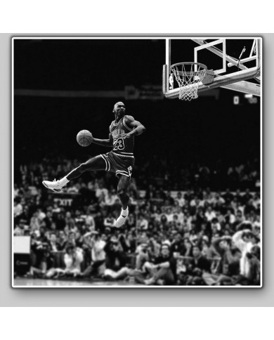 Michael Jordan Michael Jordan
