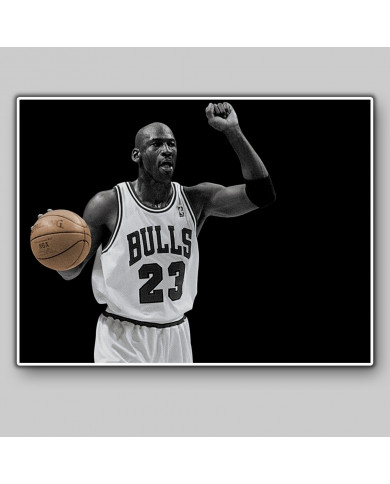 Michael Jordan Michael Jordan