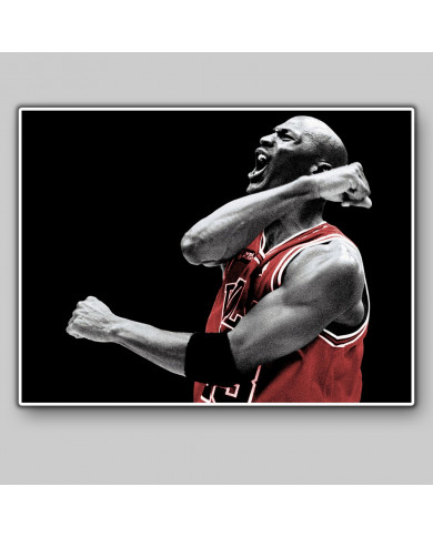 Michael Jordan Michael Jordan