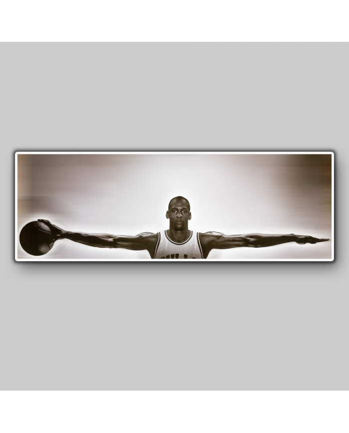 Michael jordan clearance wings canvas