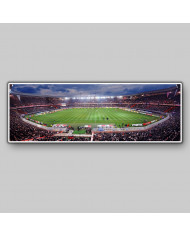 Paris Saint Germain, Parque des Princes, París