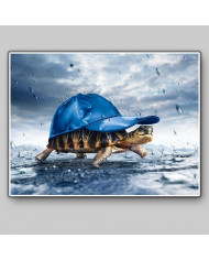 Tortuga bajo la lluvia
