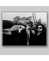 The blues brothers