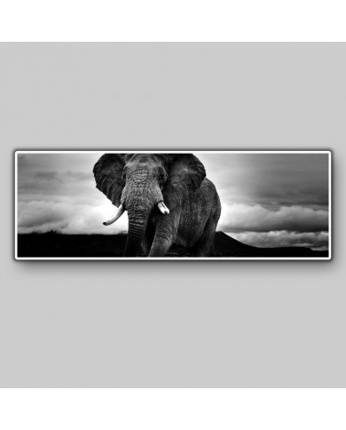 Panoramic view of an elephant in the Ngorongoro Nature Park, Tanzania
