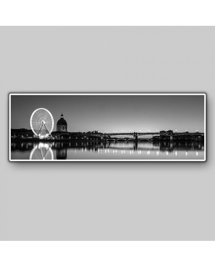 Vista panorámica de Touluse, Francia